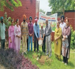 Saplings planted under 'One Tree in the Name of Mother' campaign at Government College of Education, Faridkot
